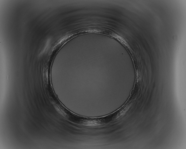 X0000086760349200705041452