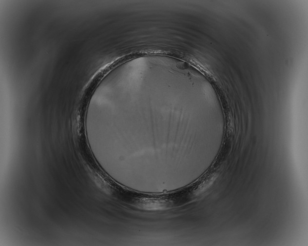 X0000086760351200705041452