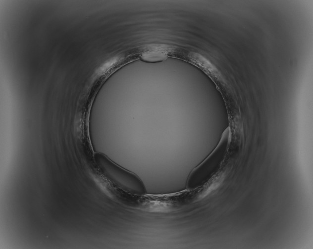 X0000086760352200705041452