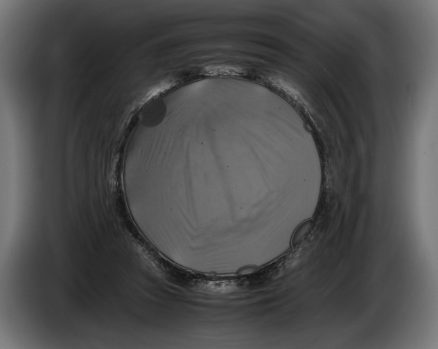 X0000086760353200705041452