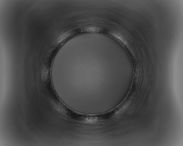 X0000086760355200705041452