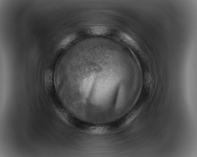 X0000086760356200705041452