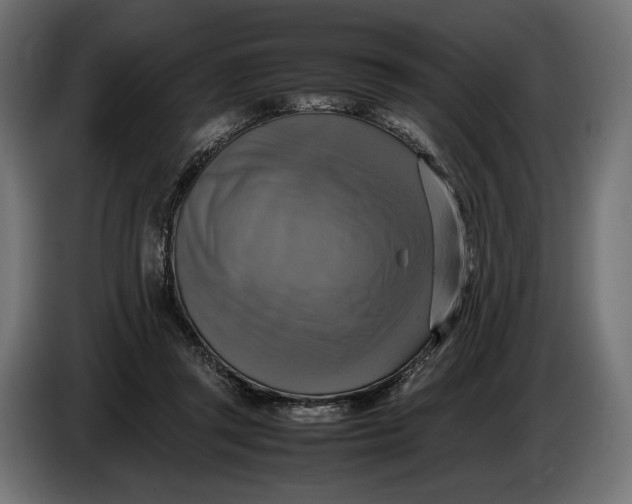 X0000086760357200705041452