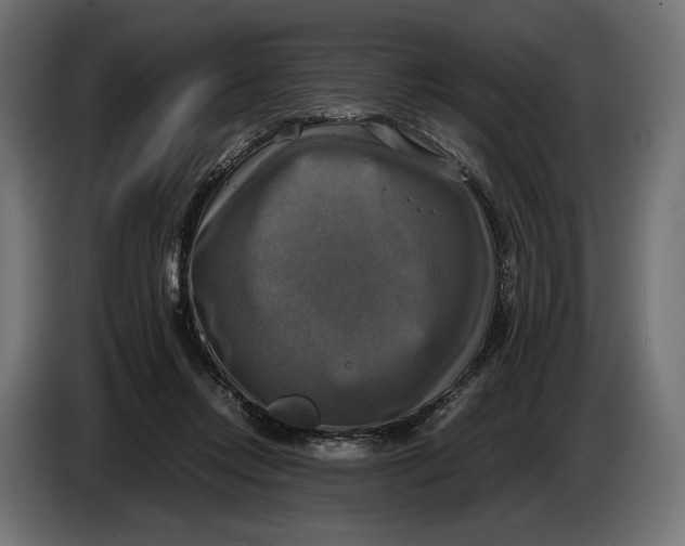 X0000086760358200705041452