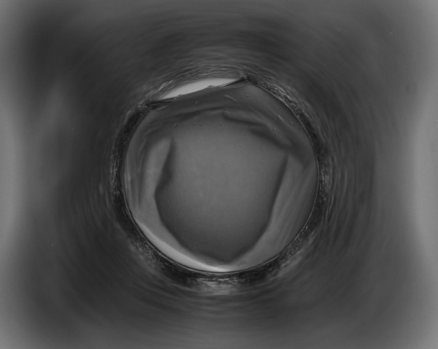 X0000086760359200705041453