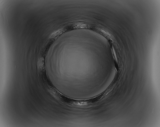 X0000086760361200705041453