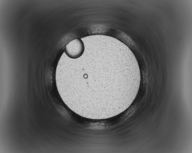 X0000086760362200705041453