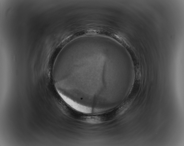 X0000086760363200705041453