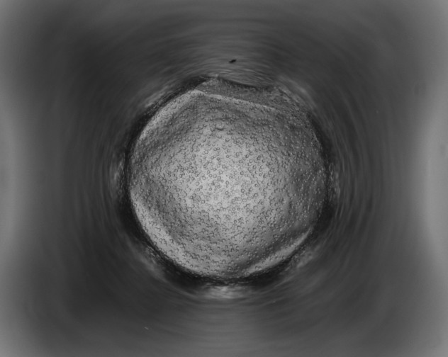 X0000086760364200705041453