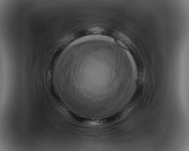 X0000086760365200705041453