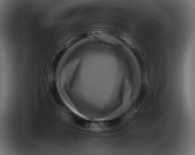 X0000086760367200705041453