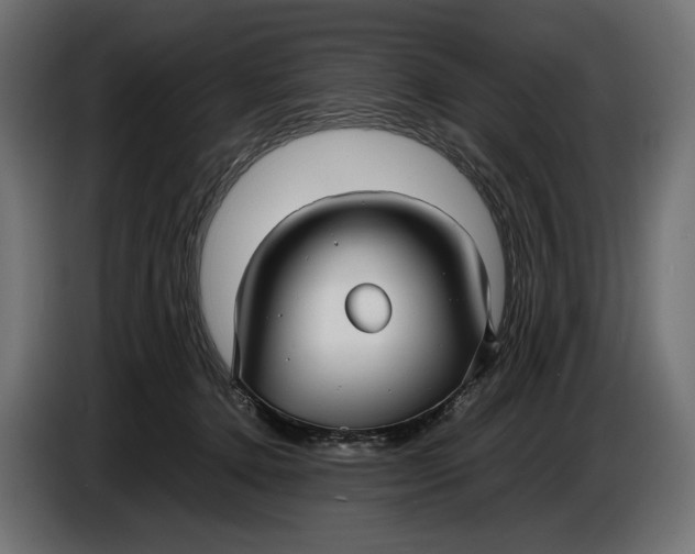 X0000086760368200705041453