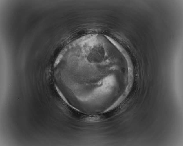 X0000086760369200705041453