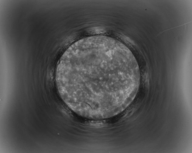 X0000086760373200705041453