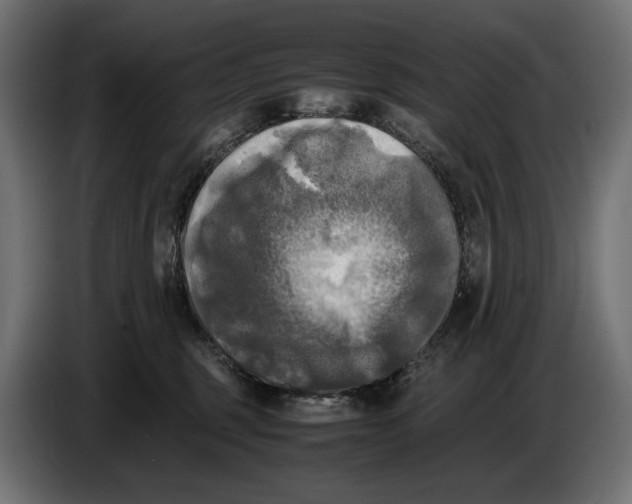 X0000086760375200705041453