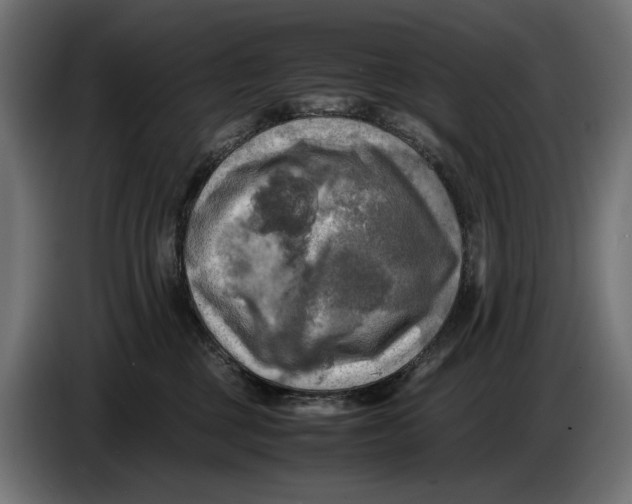 X0000086760377200705041453