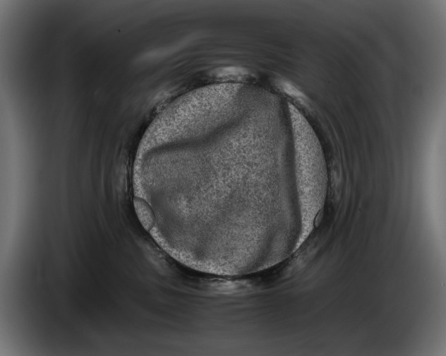 X0000086760379200705041453