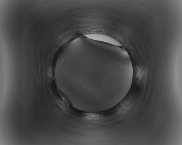 X0000086760380200705041453