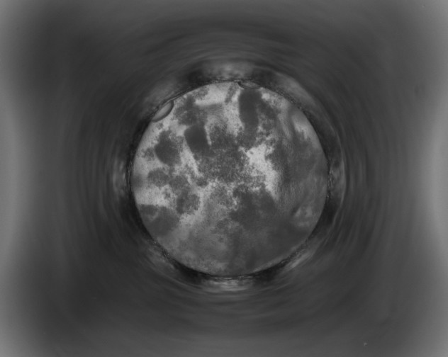 X0000086760381200705041453