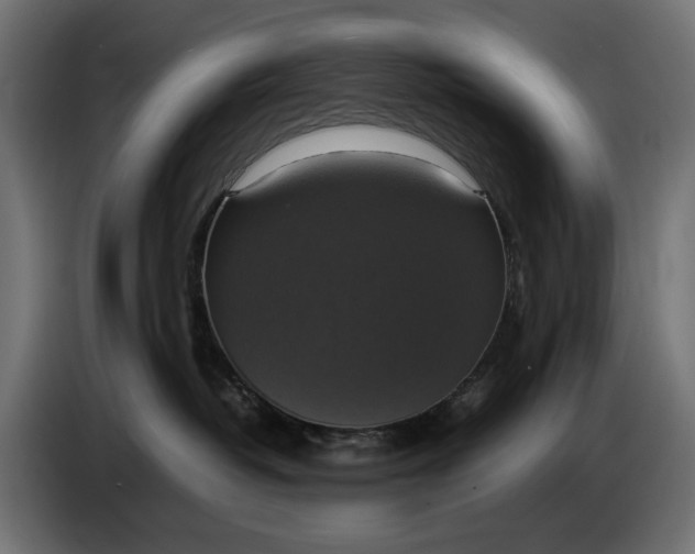 X0000086760382200705041453