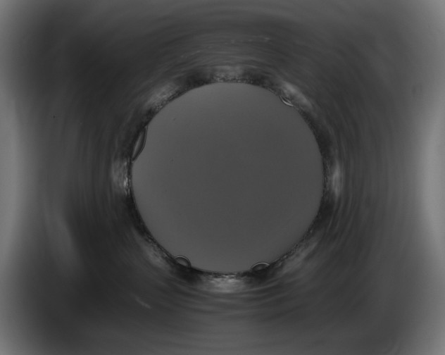 X0000086760383200705041453