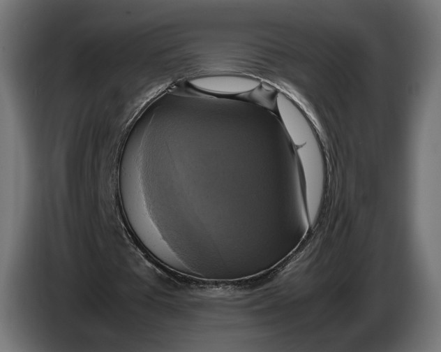 X0000086760385200705041452