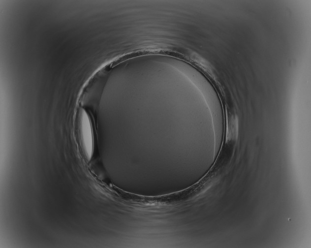 X0000086760387200705041452