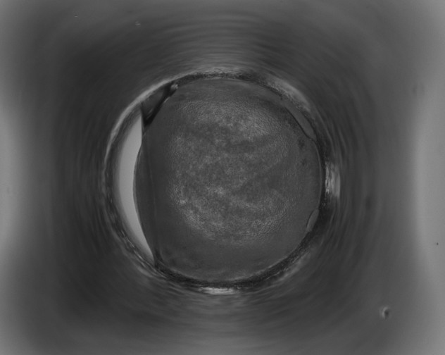 X0000086760388200705041452