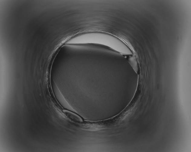 X0000086760389200705041452