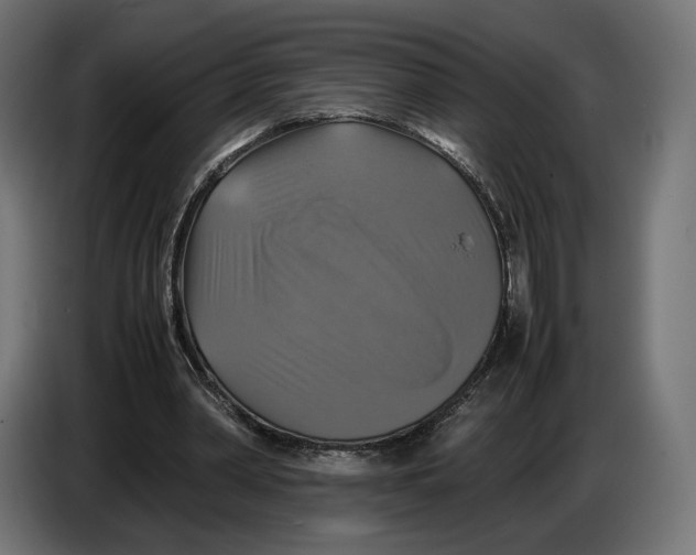 X0000086760390200705041452