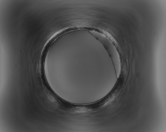 X0000086760391200705041452