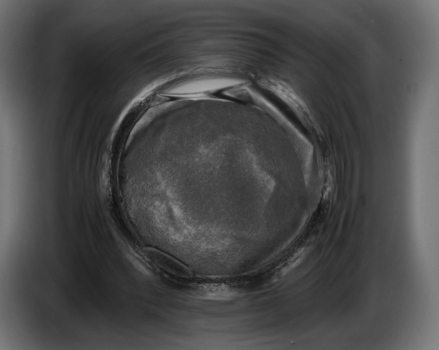 X0000086760392200705041452