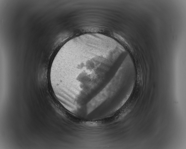 X0000086760394200705041452