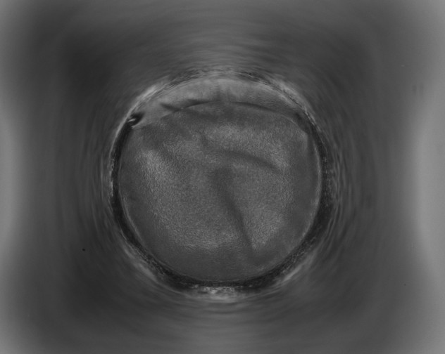 X0000086760395200705041452