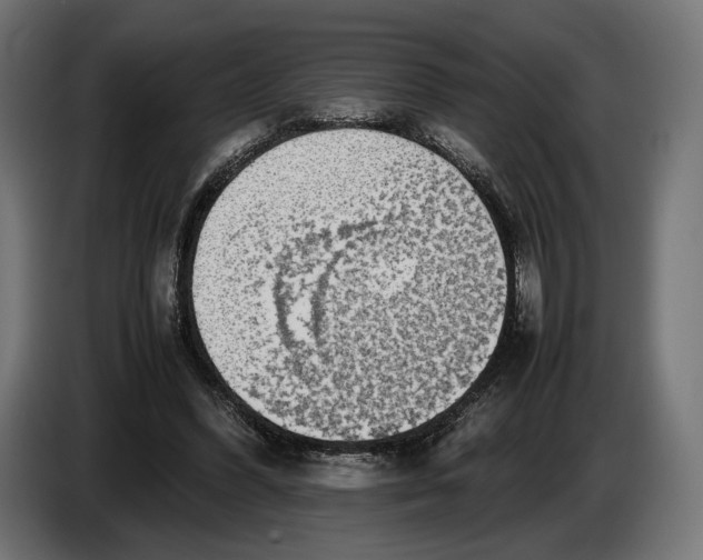 X0000086760396200705041452