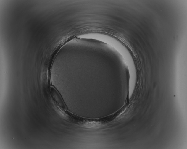 X0000086760397200705041452