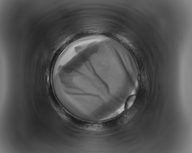 X0000086760398200705041452