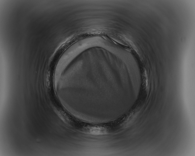 X0000086760400200705041452