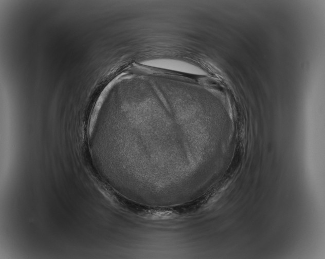 X0000086760401200705041452