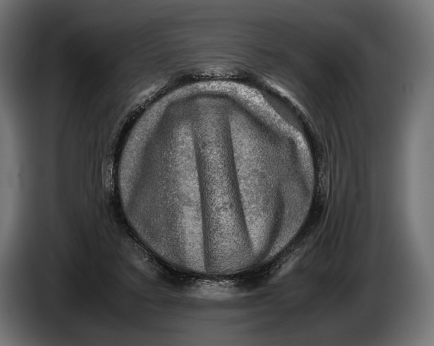 X0000086760403200705041452