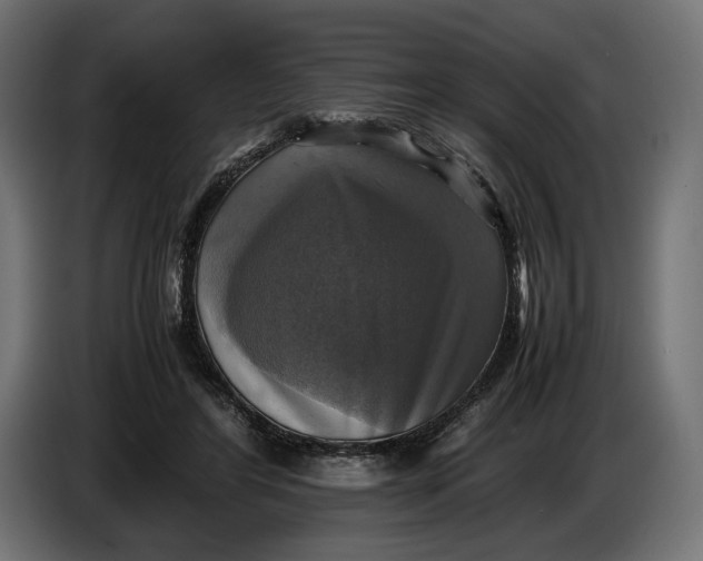 X0000086760404200705041452