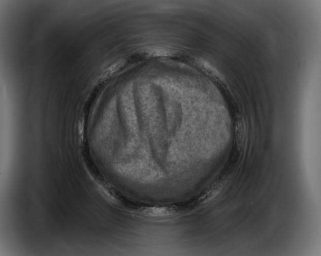 X0000086760406200705041452