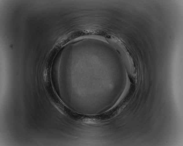 X0000086760408200705041452