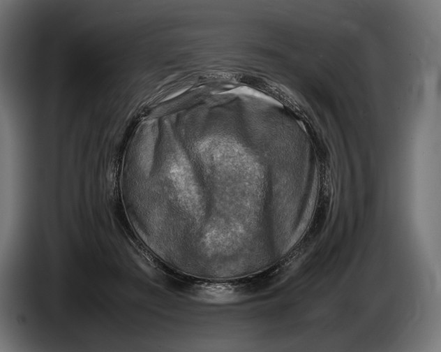 X0000086760409200705041452