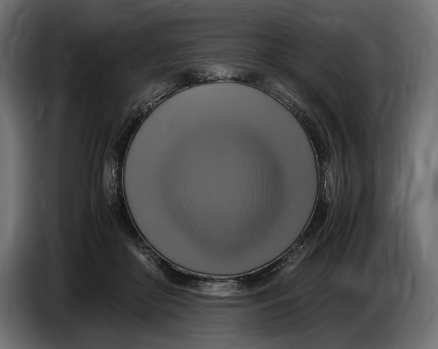 X0000086760410200705041452