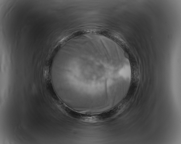 X0000086760411200705041452