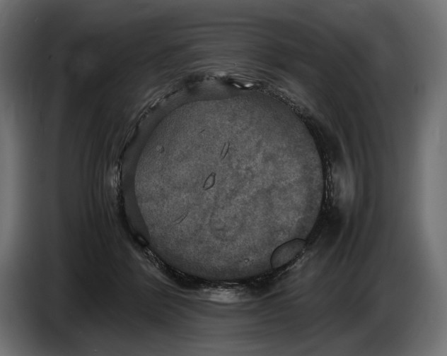 X0000086760412200705041452