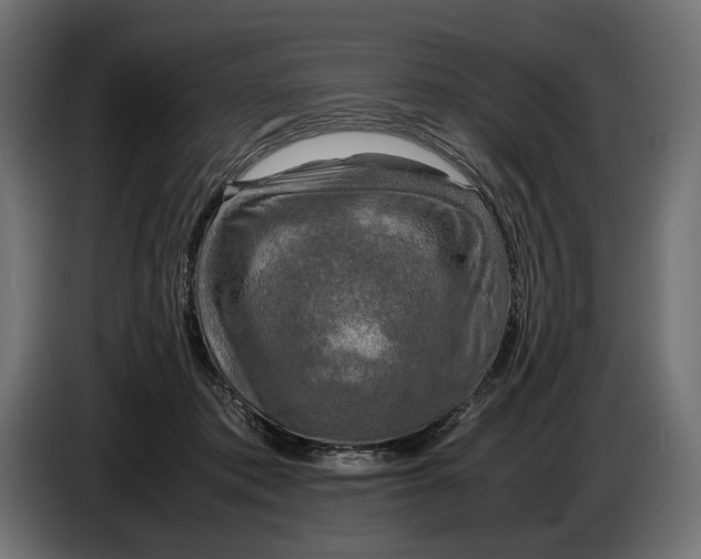 X0000086760413200705041452