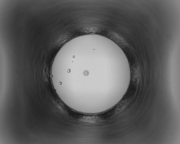 X0000086760414200705041452