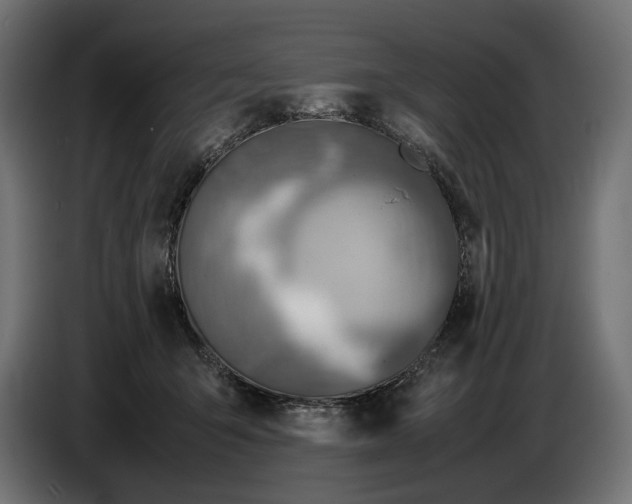 X0000086760415200705041452